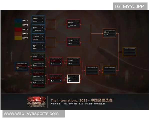 深入解析DOTA2战术IG的运营体系与团队协作策略